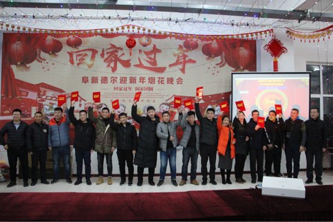 喜迎新春——暨阜新抖圈2019除夕烟花晚会(图4)